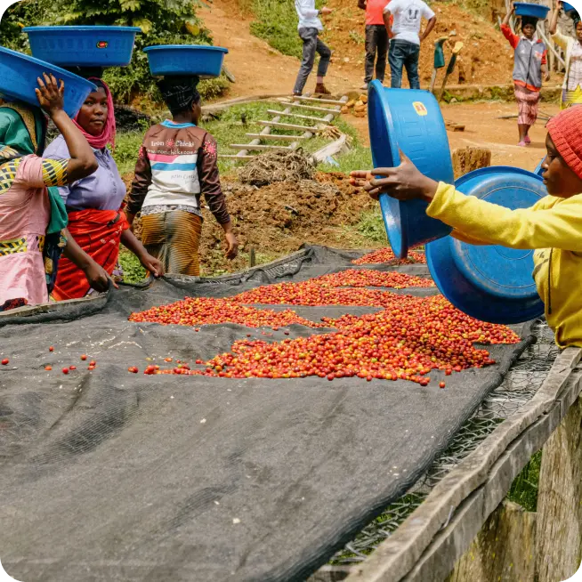 Washing station Gitega in Burundi