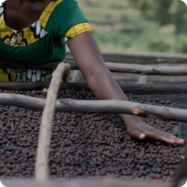 Washing station Gitega in Burundi
