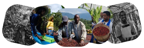 Progetto Petrolio Elite Supercoffee
